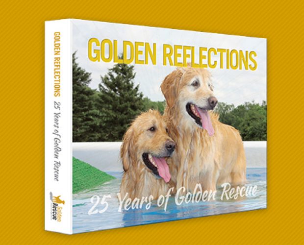 Golden Reflections Coffee Table Book