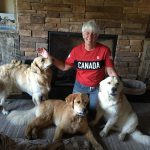 Jane sitting with her goldens