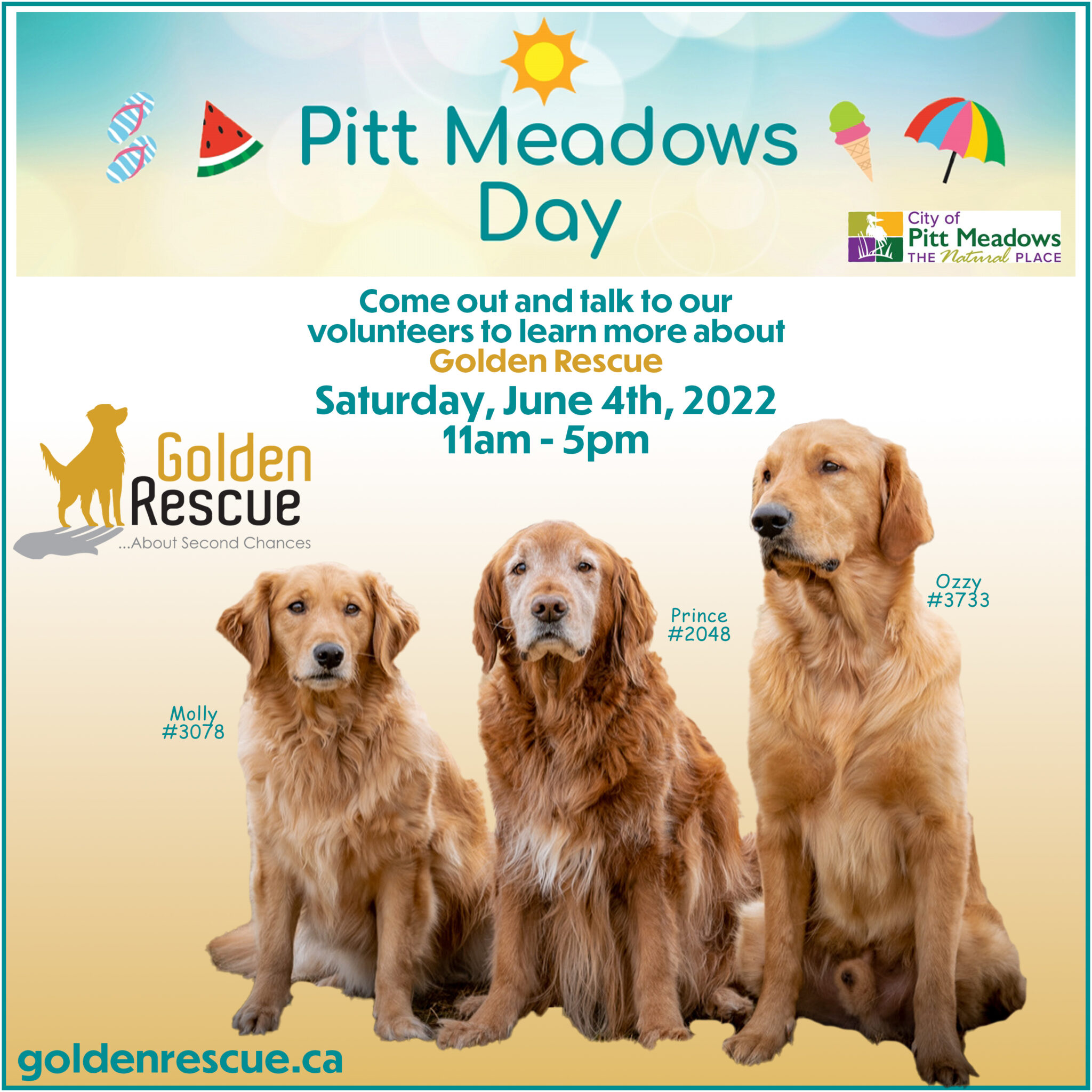 Golden Rescue Pitt Meadows Days Pitt Meadows BC
